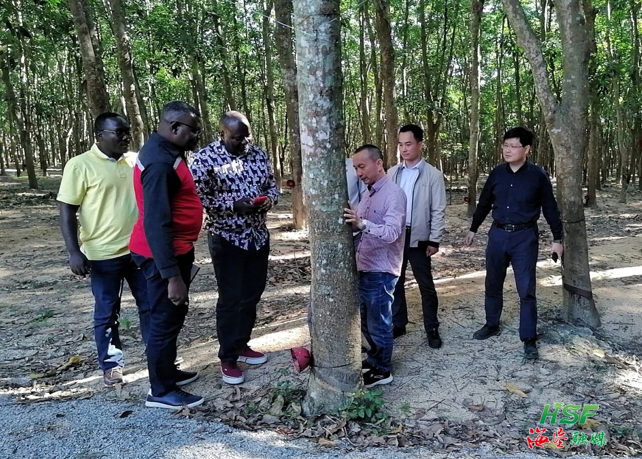 1701068538495086308.jpg 1701068538495086308.jpg