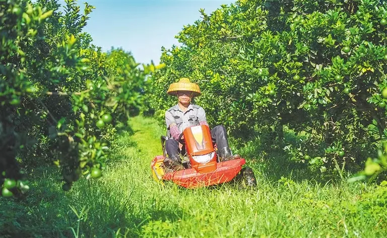 1722910119412013852.jpg 1722910119412013852.jpg