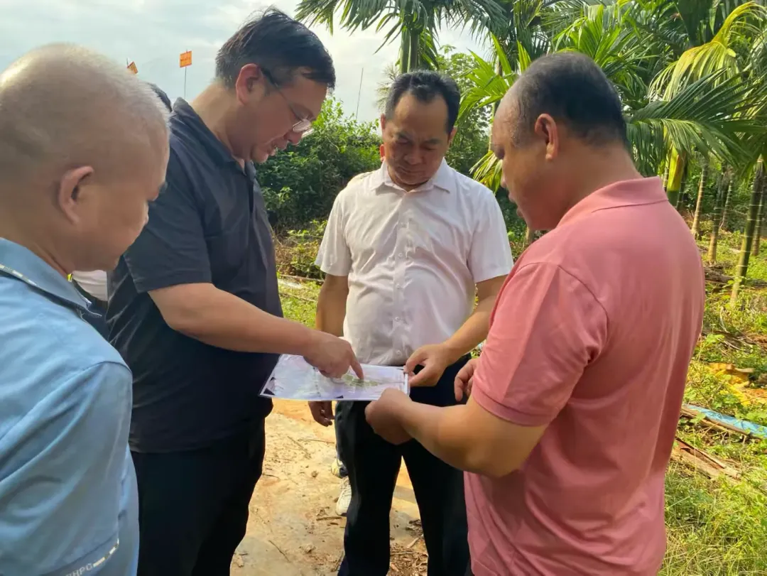 1724115068224092000.jpg 1724115068224092000.jpg