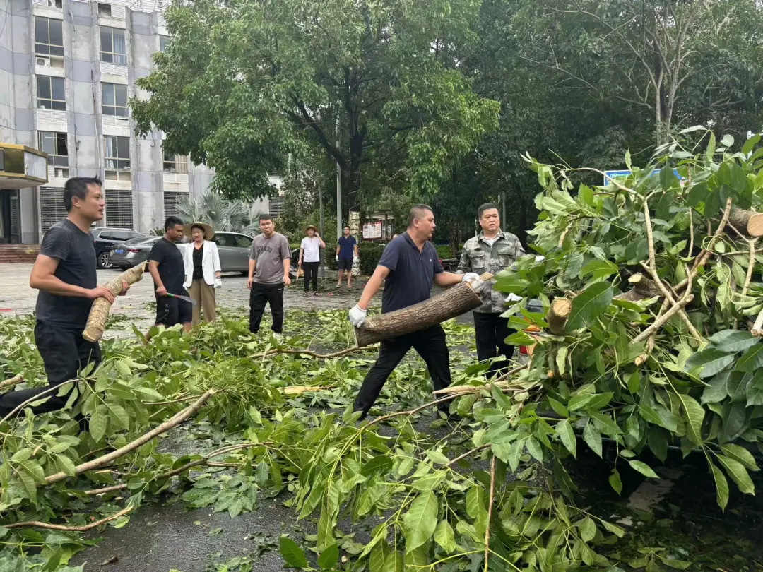 1726019661975015665.jpg 1726019661975015665.jpg