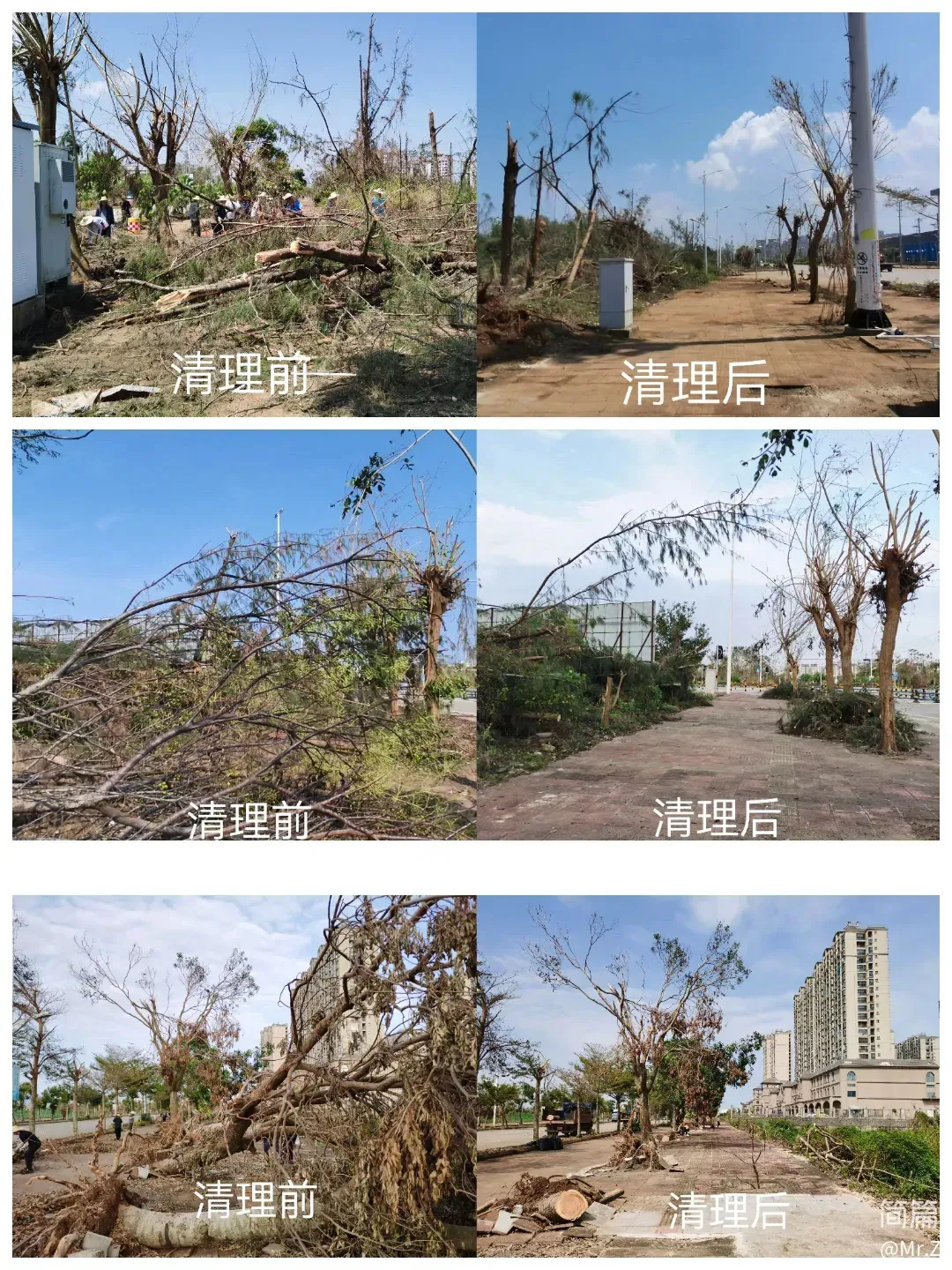 1726647046811071007.jpg 1726647046811071007.jpg