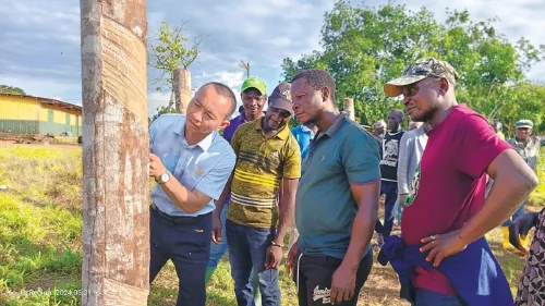 1731891132578077467.jpg 1731891132578077467.jpg