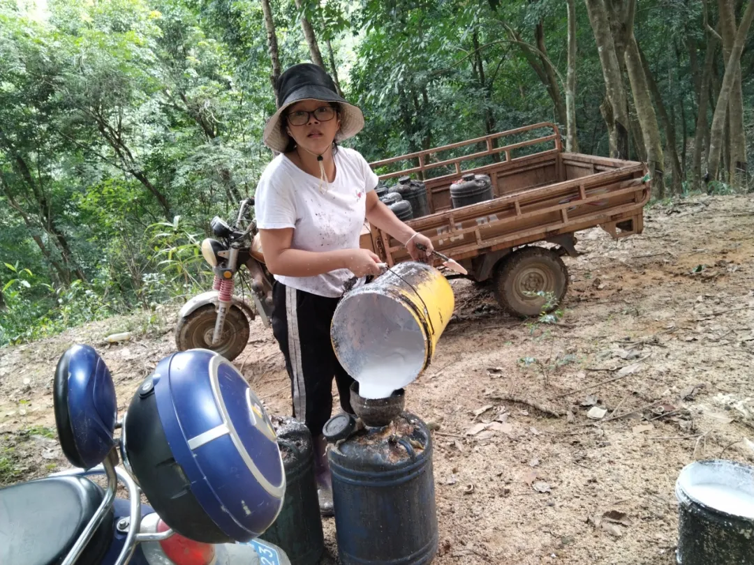 1735781629897013163.jpg 1735781629897013163.jpg