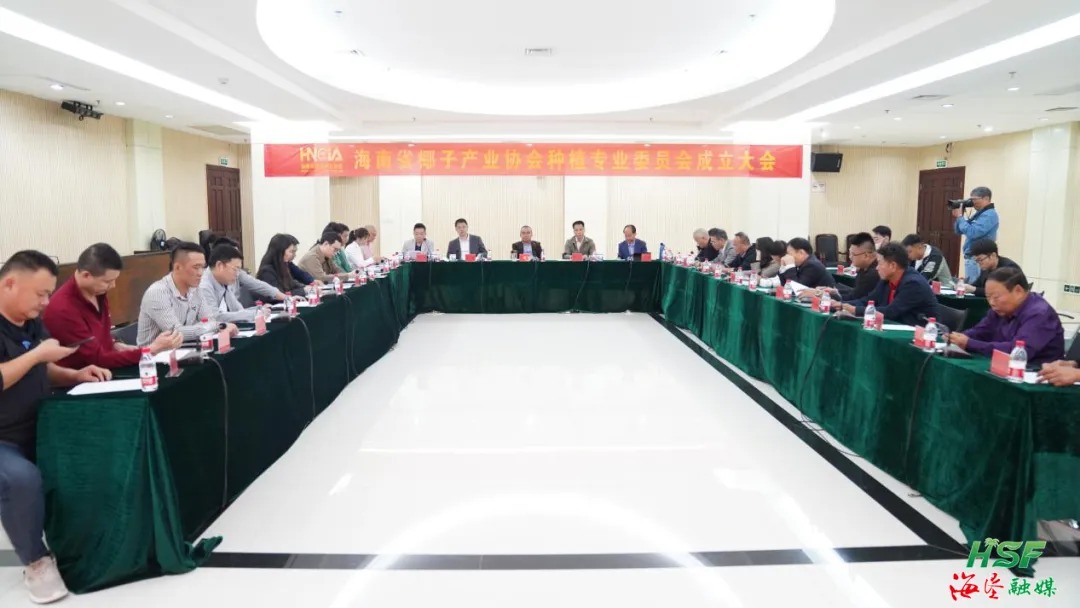 1736216564505092088.jpg 1736216564505092088.jpg